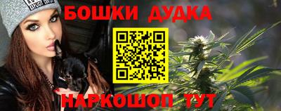 apvp Кунгур