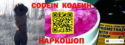apvp Кунгур