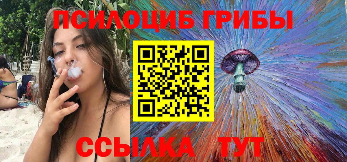 Псилоцибиновые грибы мицелий Шелехов
