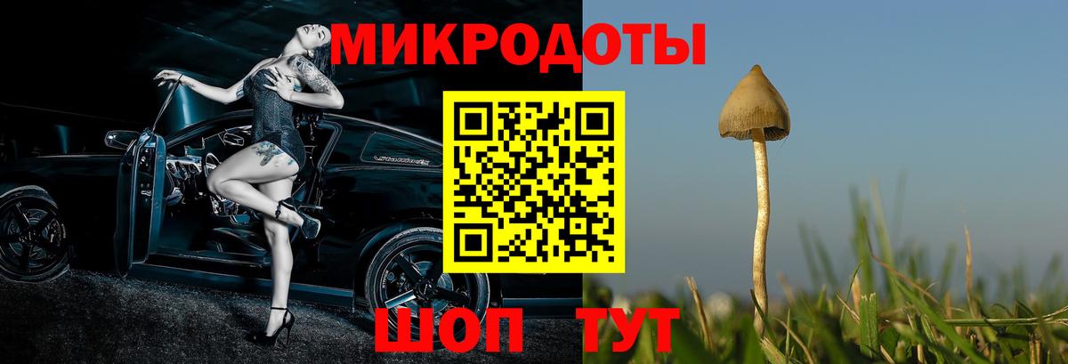 Галлюциногенные грибы Magic Shrooms  Вход с VPN  Галлюциногенные грибы прущие грибы  Шелехов 