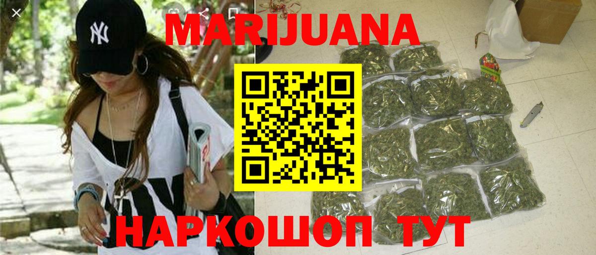 Шишки марихуана планчик  Вход с VPN  Шишки марихуана Bruce Banner  Шишки марихуана Bruce Banner  Шишки марихуана конопля  Шелехов 